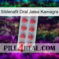 Sildenafil Oral Jelly Kamagra 18